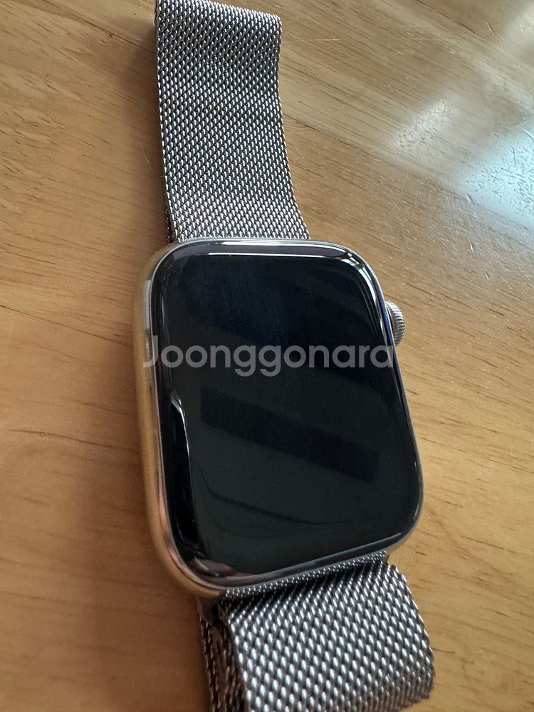 애플워치 시리즈9 스테인리스실버 45mm--1