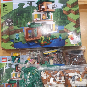 레고21174 레고마인크래프트