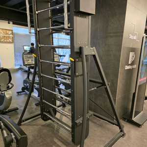 [판매] 헬스장 명품 기구 3종 정리합니다 (제이콥스 래더, 해머스트렝스, 뉴텍)