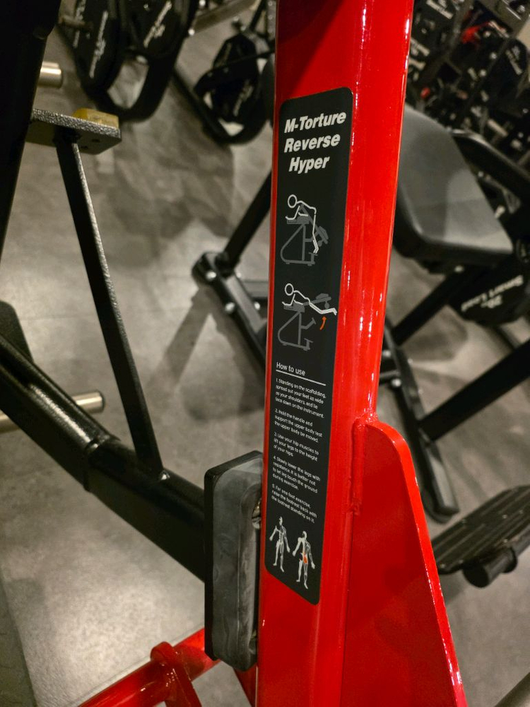 [판매] 헬스장 명품 기구 3종 정리합니다 (제이콥스 래더, 해머스트렝스, 뉴텍)--4