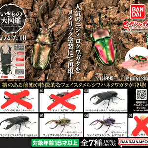 생물대도감 사슴벌레 10탄 이미지