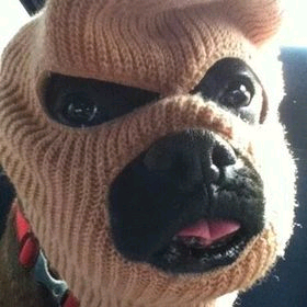 LG U+ 유플러스 데이터 2기가 판매