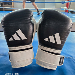 아디쇼리14온스