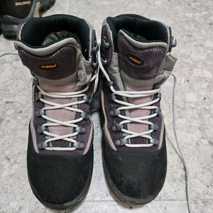 아쿠 타이가 에보 240, 살로몬 퀘스트엘리먼트 235 판매