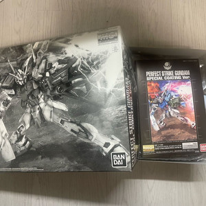 MG 퍼펙트 스트라이크 스패셜코팅