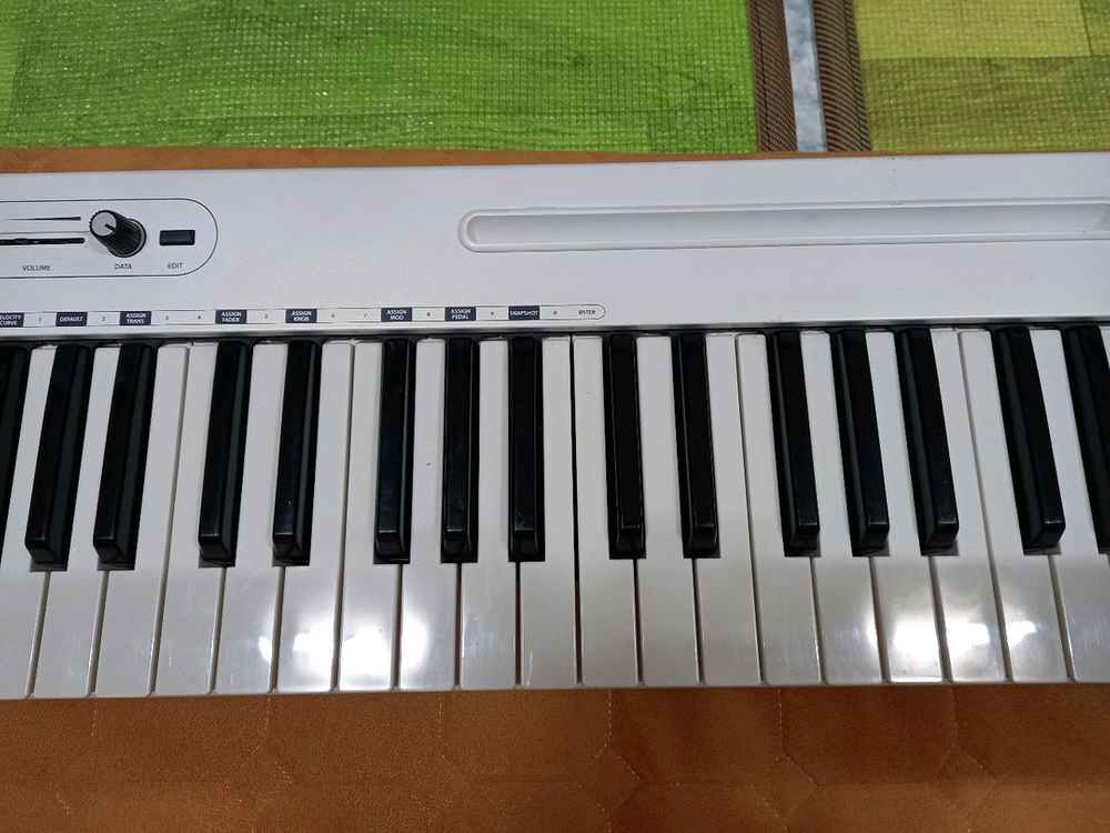 중고 마스터 키보드 Samson Carbon 61 55000원 이미지