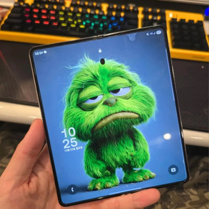 갤럭시 Z플립5 256GB