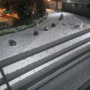 구글 대리 삽니다 70%