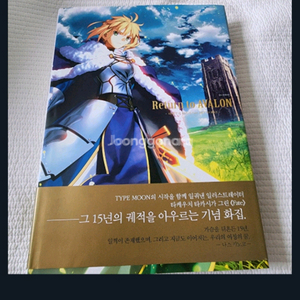 Return to AVALON 타케우치 타카시 Fate ART WORKS 일러스트 화집