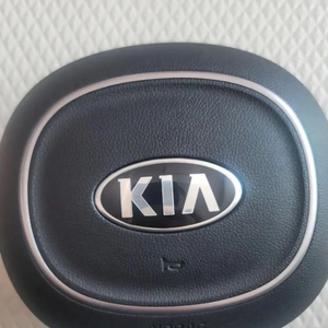 카니발4세대 ka4 에어백 신형로고 같이드립니다