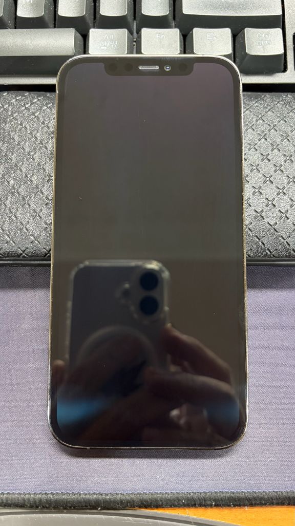 아이폰12 Pro 256GB 그래파이트--0