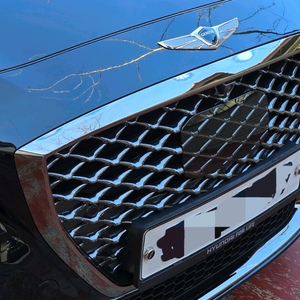 g80 스포츠 그릴