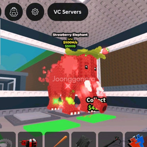 입양펫이랑 딸코랑 거래 이미지