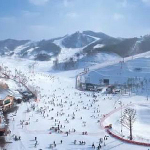 곤지암 주중 시즌권 양도(양도비포함) 이미지