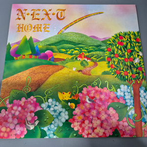 넥스트 LP판