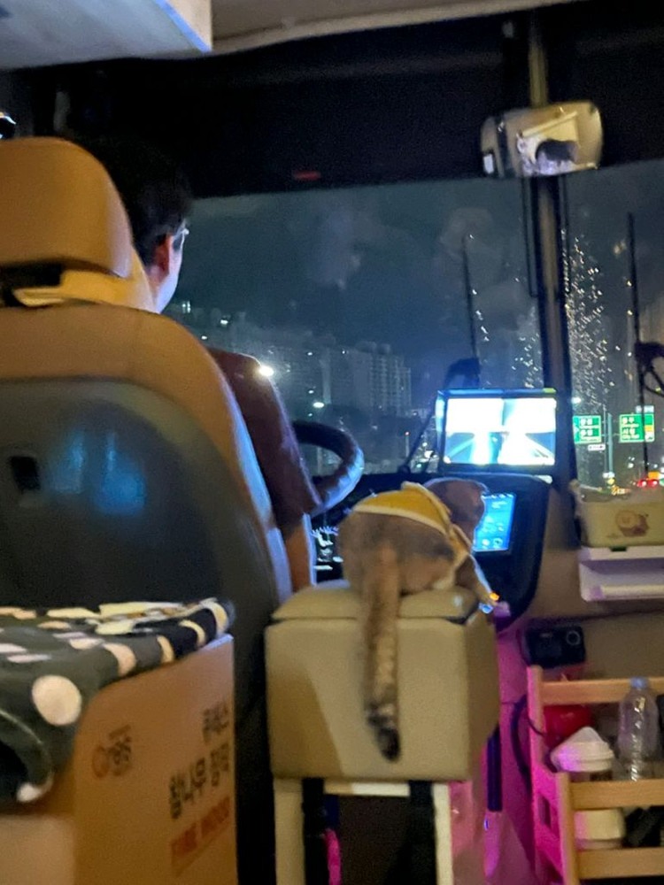 에어로타운 캠핑카 이미지