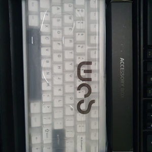 레이니 하옵 실버 바이올렛축 택포 6.6만