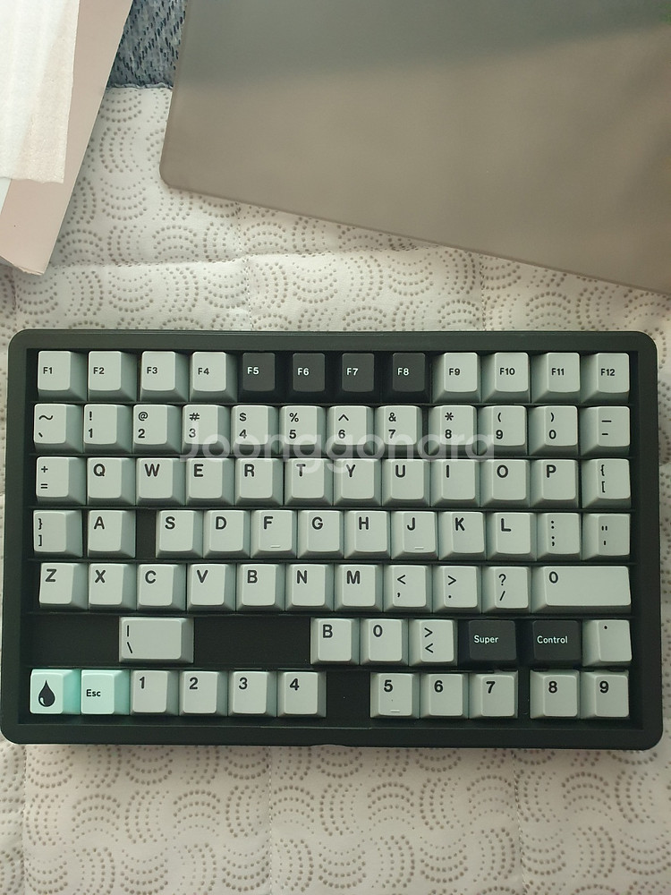 일당오 레이니데이 택포 3만--2