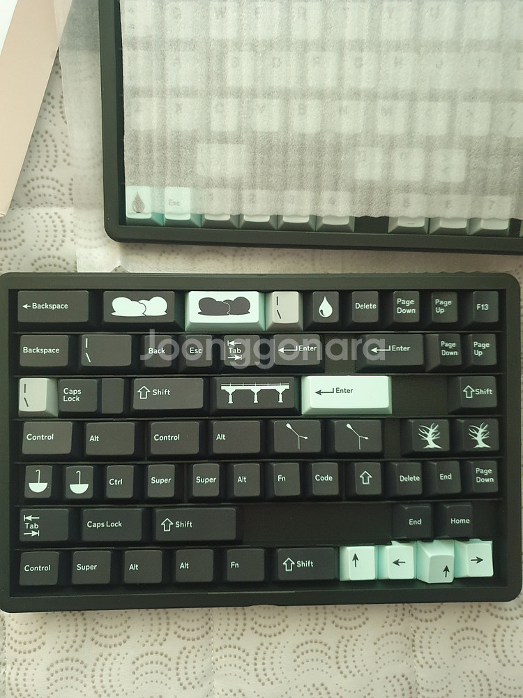 일당오 레이니데이 택포 3만--1