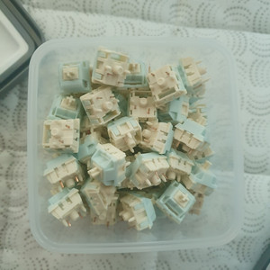 KEYGEEK BLUE CHEESE 블루치즈축 90개 택포 2.9만