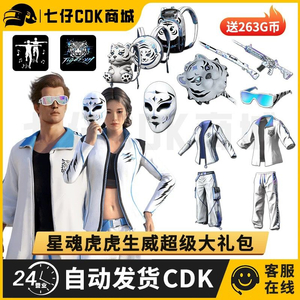 배그 스킨코드 xinghun 2차 메가번들 이미지