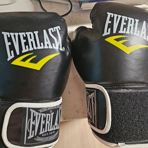 복싱글러브 16온즈