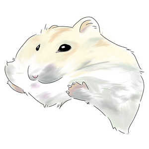 반려동물 애완동물 그려드려요(고양이 강아지 햄스터 도마뱀 앵무새 금붕어 등등) 이미지