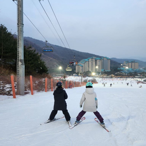 곤지암 전일 시즌권 이미지