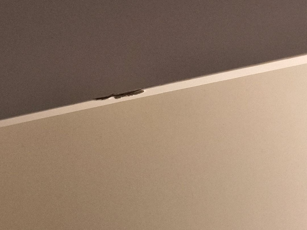 !오늘 저녁까지 판매 눕 이지 LED 조명 4단 수납 침대 프레임!--7