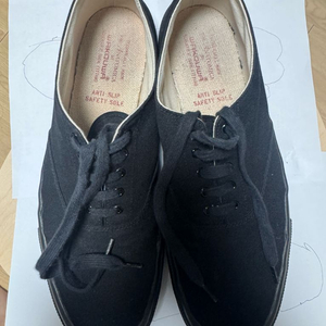 아나토미카 한정판 와쿠와 285 이미지