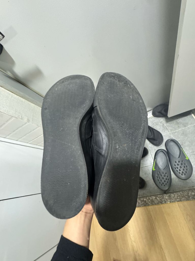 아나토미카 한정판 와쿠와 285 이미지