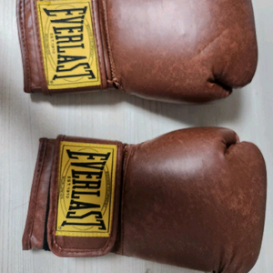 에버라스트 복싱글러브 16온즈