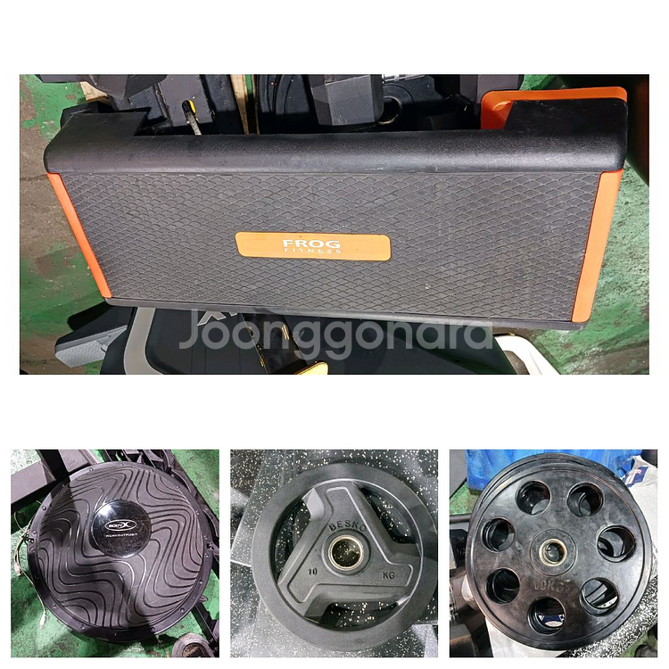 디랙스,헤라,프로테우스,인바디--6