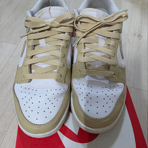 나이키 덩크로우 레트로 골드앤화이트