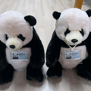 루이바오 사육사, 후이바오 사육사 팝니다(새상품)