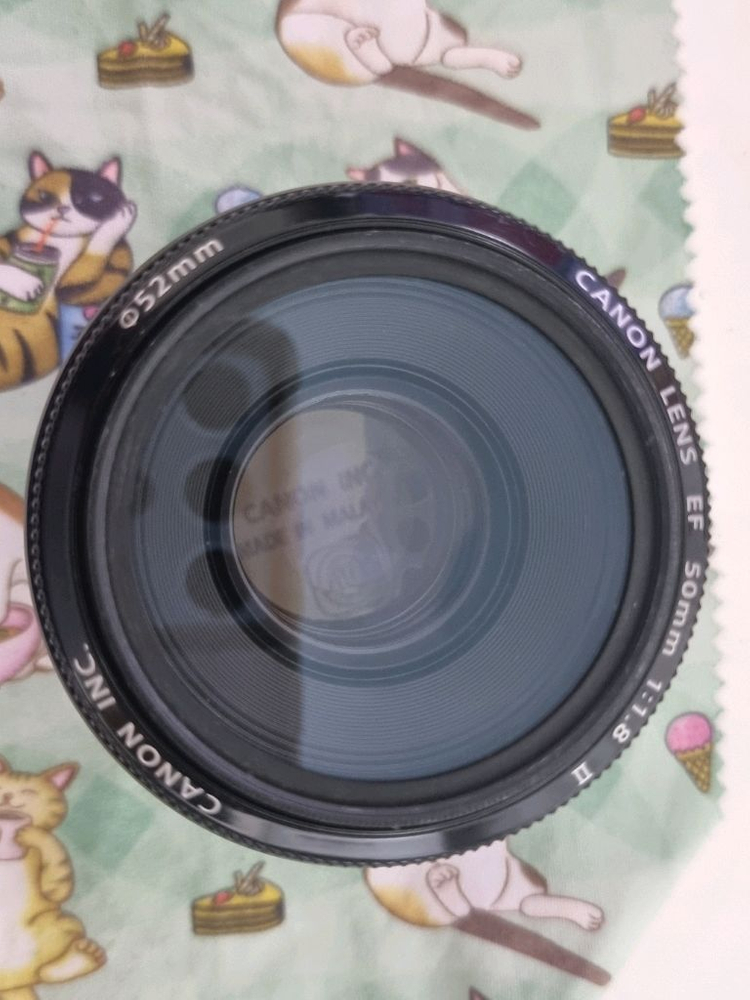 캐논 EF 50mm F1.8 II--1