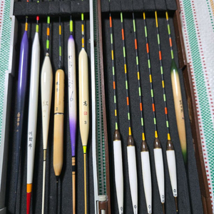 중층내림낚시 찌 전자찌 이미지