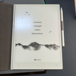 viwoods aipaper 10.6인치