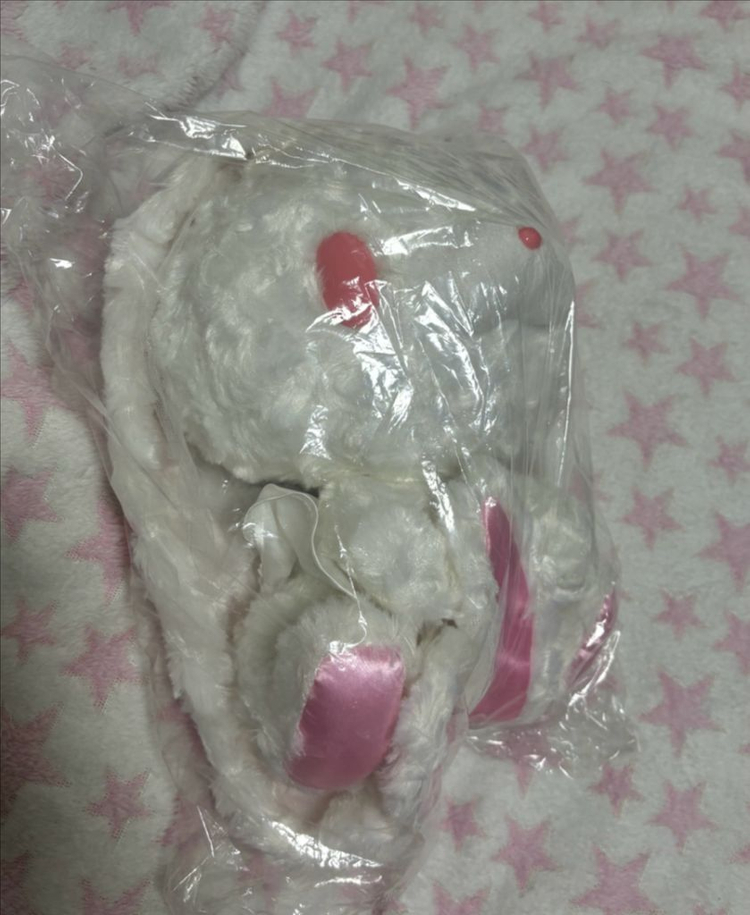 범용토끼 웨딩 이미지