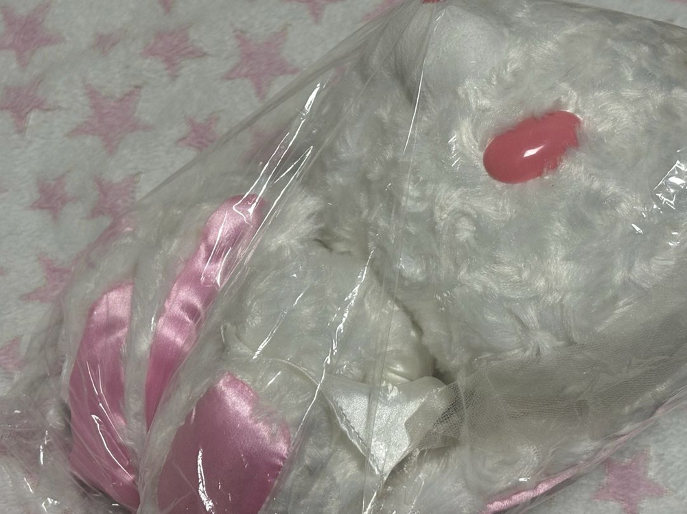 범용토끼 웨딩 이미지