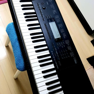 카시오 CTK-5200 전자키보드 25만원