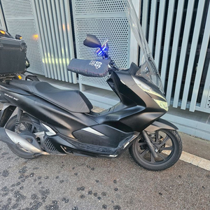 2019 pcx 실키로 12000km 팝니다