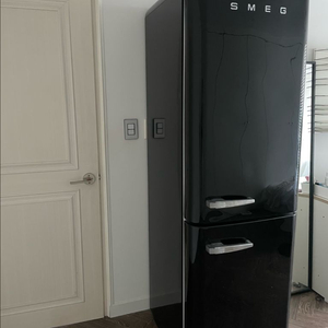 스메그 냉장고 FAB32