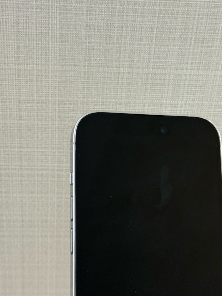 아이폰14프로 256G 실버--5