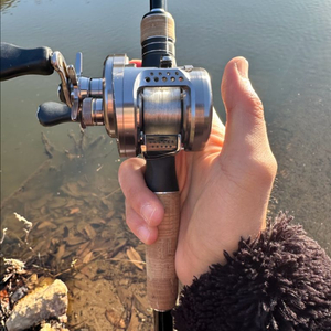 시마노 베이트피네스 베이트릴 낚시세트(송어, 쏘가리, 배스) 이미지