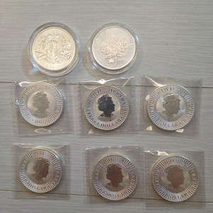 은화 8개 일괄판매 248.8g