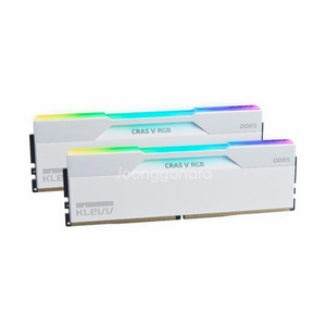 ESSENCORE KLEVV DDR5 PC5-48000 CL30 CRAS V 화이트 서린 48GB(24*2 이미지