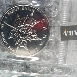 캐나다 메이플불리온은화 999.9%