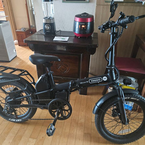 비아지오V5전기자전거 이미지