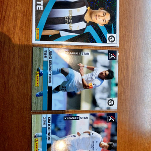 파니니 K리그 에디션 2024 성남FC 트레이딩 포토카드